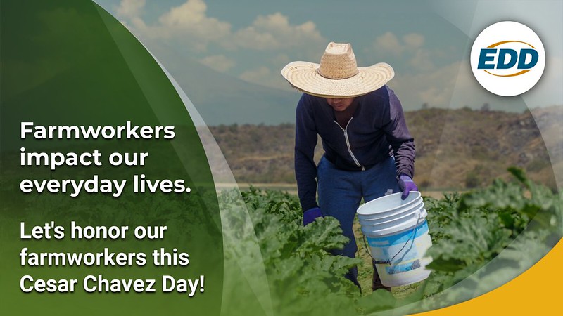 A farmworker in a wide straw hat and gloves harvests crops in a field. Overlaid text reads, “Farmworkers impact our everyday lives. Let’s honor our farmworkers this Cesar Chavez Day!”