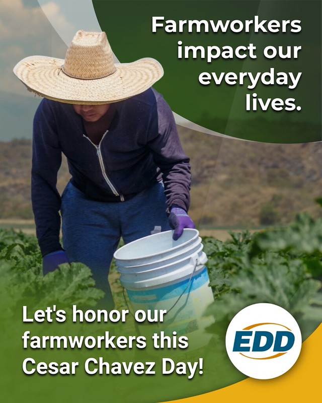 A farmworker in a wide straw hat and gloves harvests crops in a field. Overlaid text reads, “Farmworkers impact our everyday lives. Let’s honor our farmworkers this Cesar Chavez Day!”