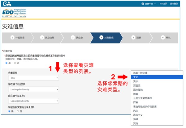 A screenshot of the Disaster Information webpage showing how to enter the required information.
