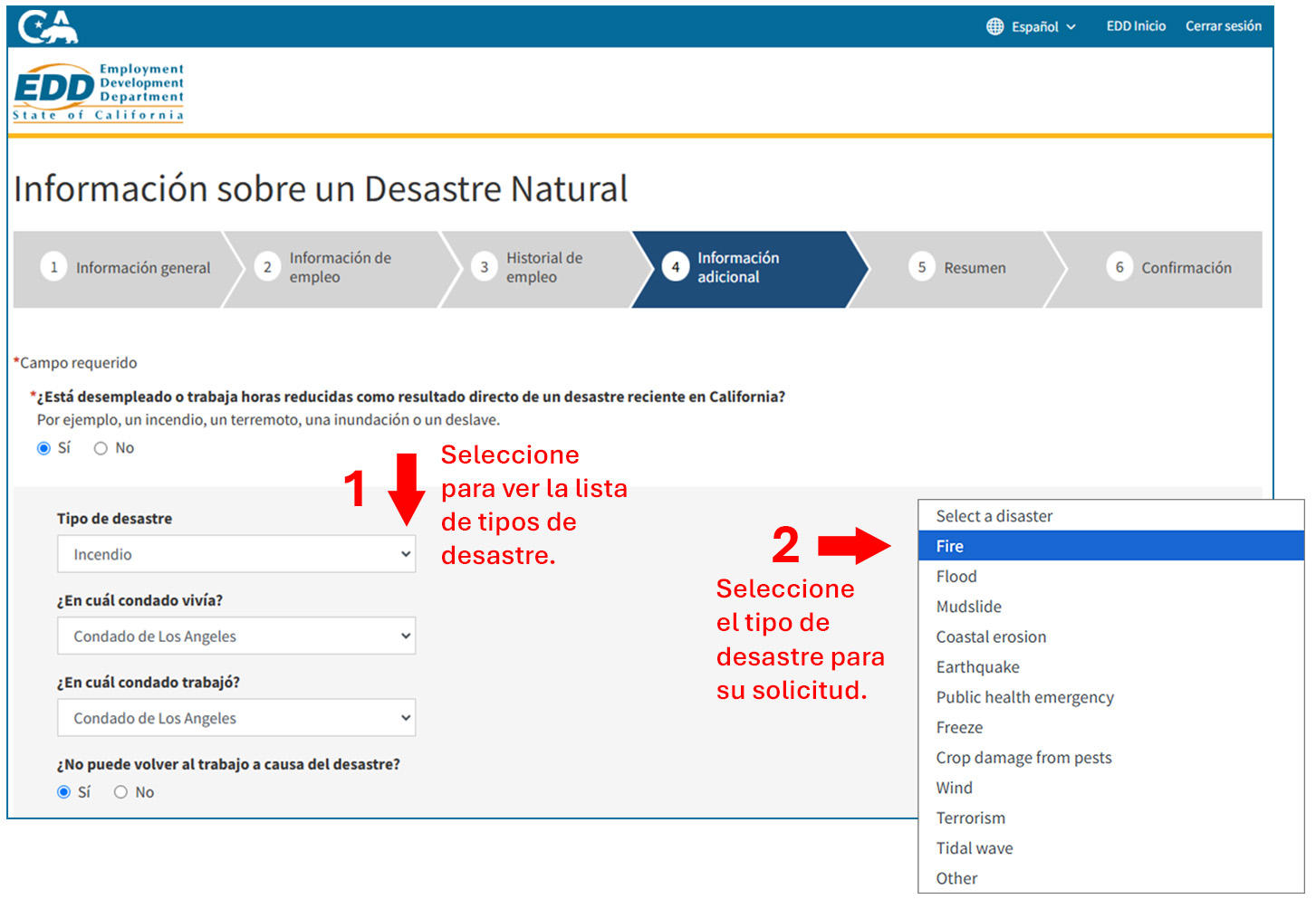 A screenshot of the Disaster Information webpage showing how to enter the required information.
