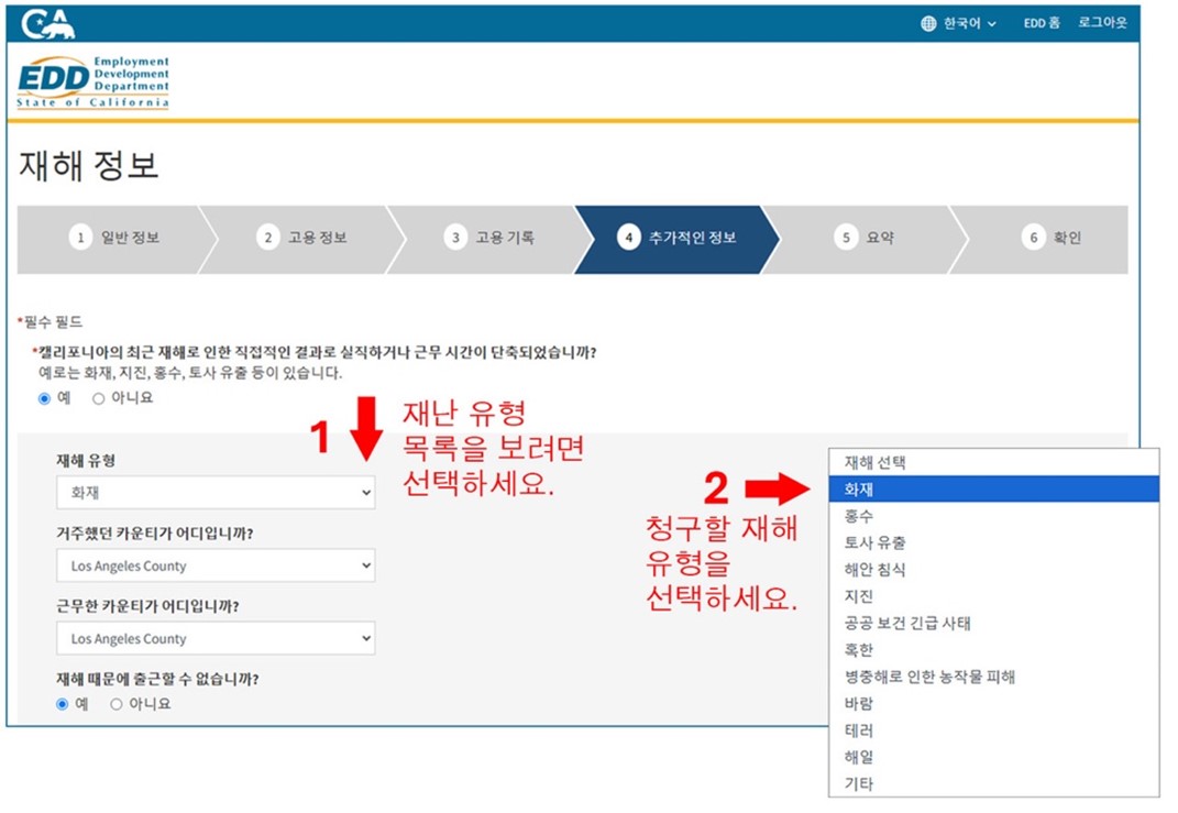 A screenshot of the Disaster Information webpage showing how to enter the required information.
