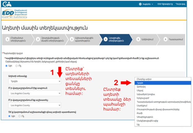 A screenshot of the Disaster Information webpage showing how to enter the required information.