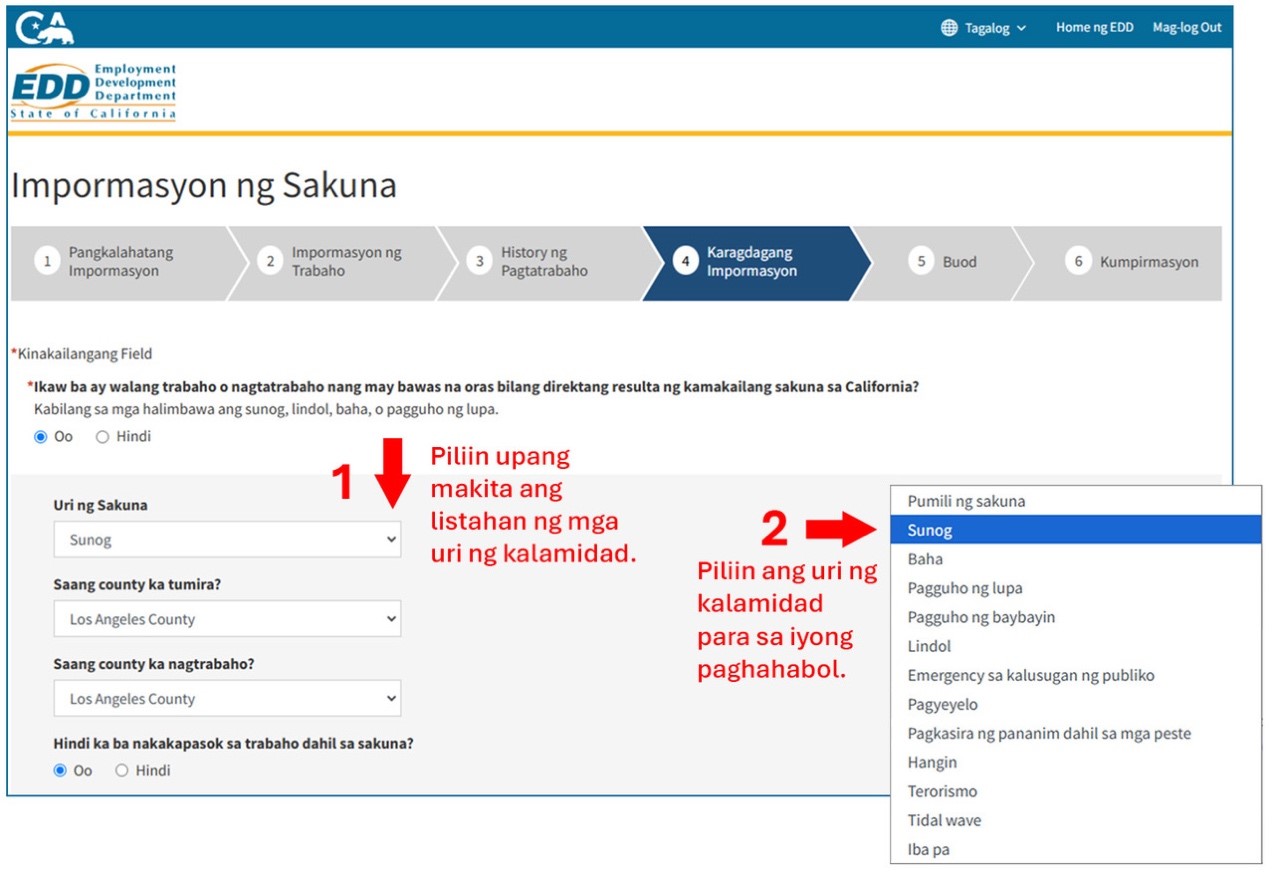 A screenshot of the Disaster Information webpage showing how to enter the required information.