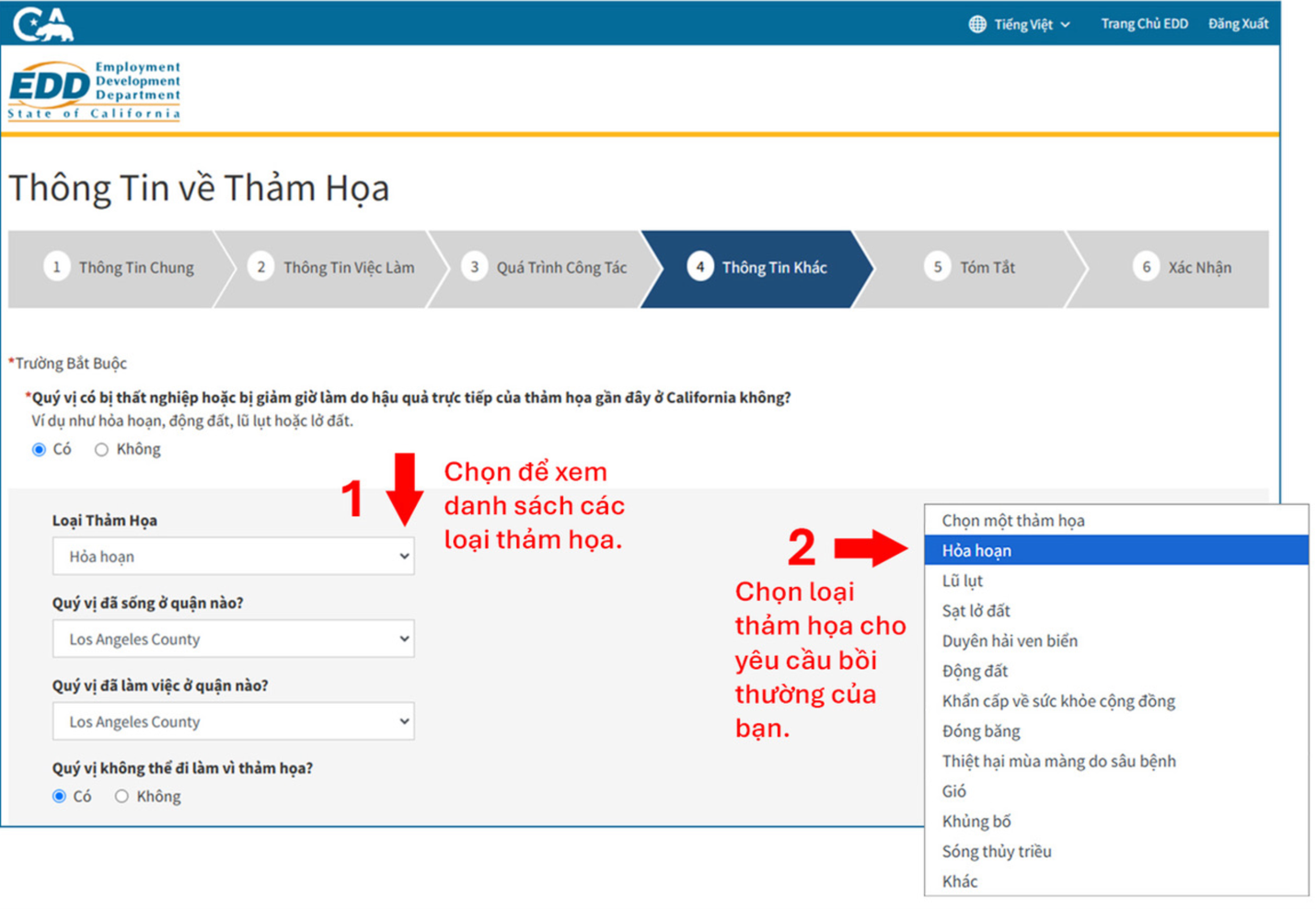 A screenshot of the Disaster Information webpage showing how to enter the required information.