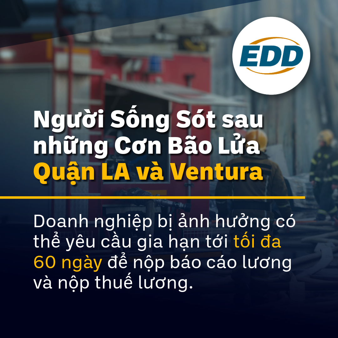 Người sống sót sau những cơn bão lửa ở Quận LA và Ventura: Doanh nghiệp có thể yêu cầu gia hạn 60 ngày để nộp báo cáo lương và khai thuế. Biểu tượng EDD với hình nền là những người lính cứu hỏa.