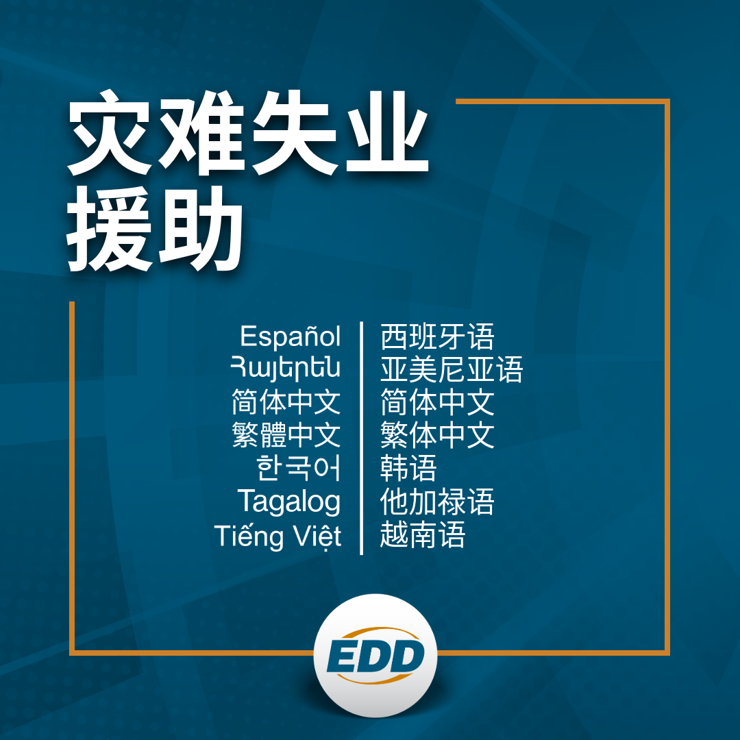 深蓝色背景,白色文字,上面写着:灾难失业援助,并提供西班牙语、亚美尼亚语、简体中文、繁体中文、韩语、他加禄语和越南语的可用语言翻译列表,下方有EDD 标志。