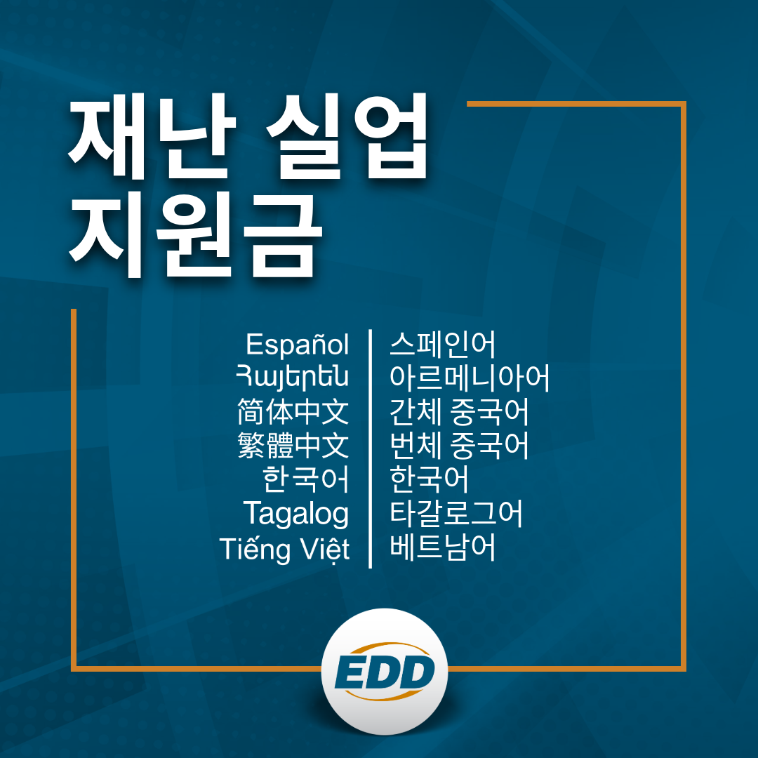 어두운 파란색 배경에 흰색 텍스트로 다음과 같이 표시됨: 재난 실업 지원금 (DISASTER UNEMPLOYMENT ASSISTANCE) 다음 언어로 정보가 제공됩니다: 스페인어, 아르메니아어, 간체 중국어, 번체 중국어, 한국어, 타갈로그어, 베트남어. EDD 로고 아래 배치