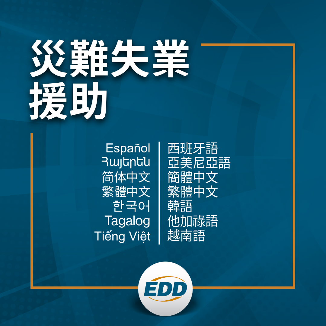 深藍色背景,白色文字,上面寫著:「災難失業援助」,並提供西班牙語、亞美尼亞語、簡體中文、繁體中文、韓語、他加祿語和越南語的可用語言翻譯列表,下方有EDD 標誌。